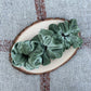 Sage Velour Scrunchie